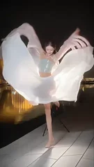 台南极乐寺网络直播