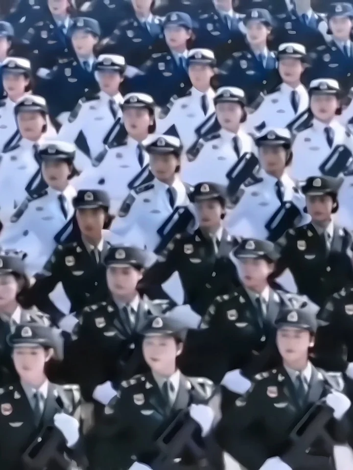 白桦林小说网